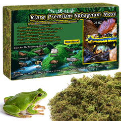 Riare mousse sphagnum naturel dans terrarium, habitat plus humide.