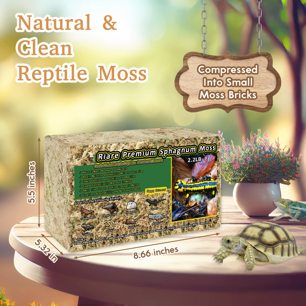 Texture humide qui gonfle rapidement, idéal pour humidifier le terrarium.