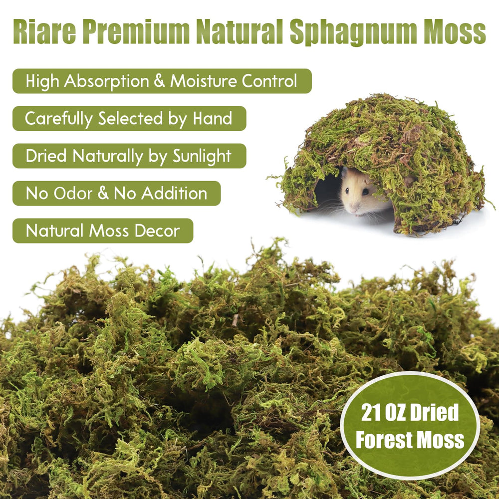 Riare mousse sphagnum nid hamsters: creuser et se cacher en douceur.