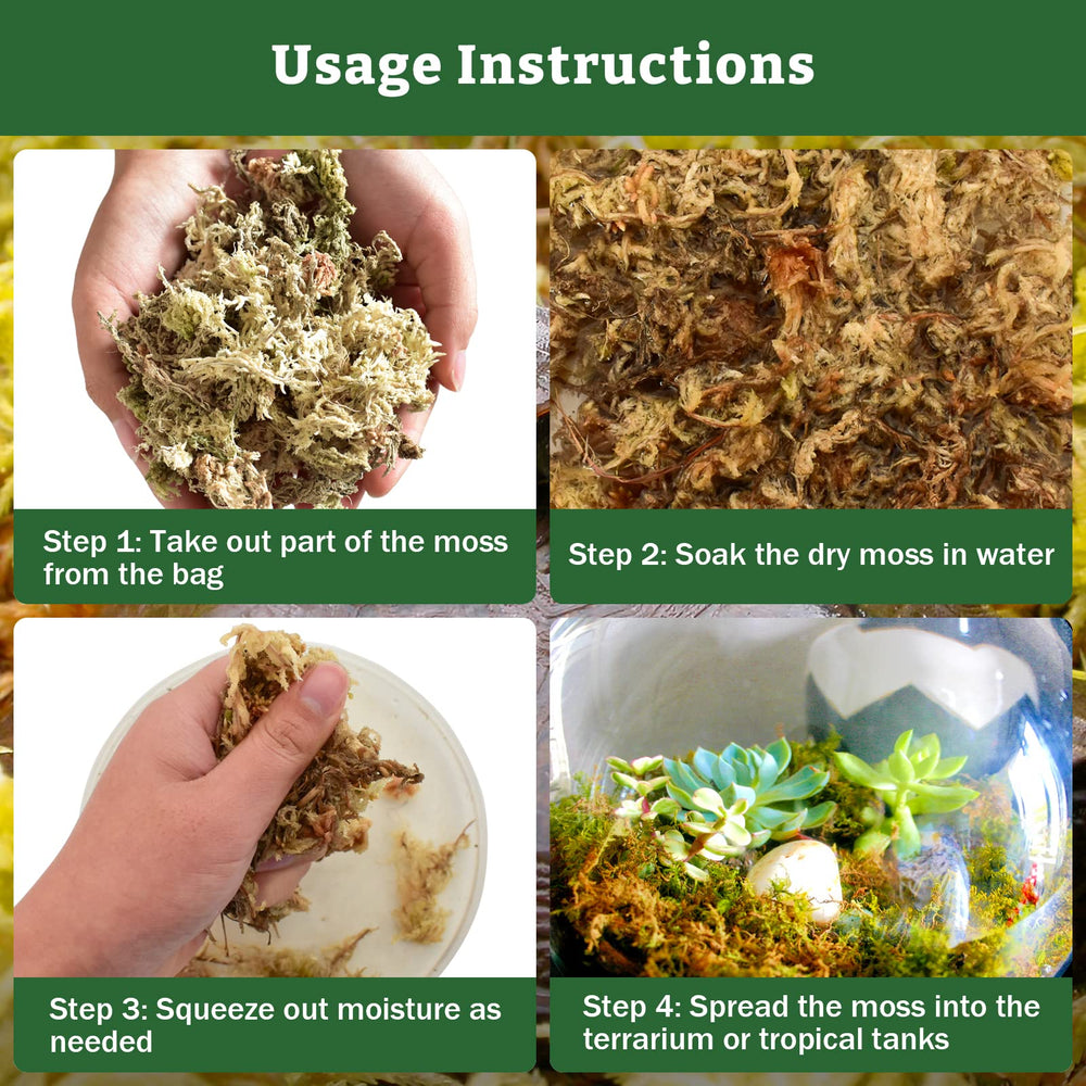 Riare mousse sphagnum, odeur neutre, substrat propre pour reptiles et plantes.