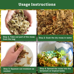 Riare mousse sphagnum, odeur neutre, substrat propre pour reptiles et plantes.