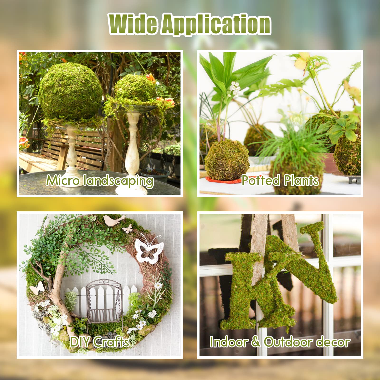 Riare mousse sphagnum convient petits animaux et reptiles pour habitat confortable.