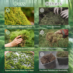 Riare Mousse Sphaigne Premium lit forêt naturel pour reptiles