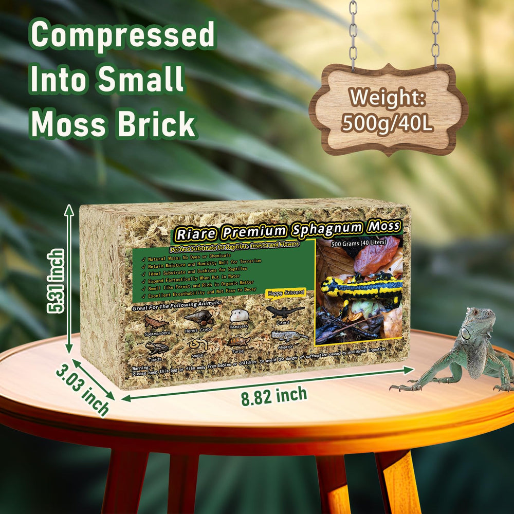 Riare Mousse Sphaigne Premium mousse hydratée prête pour terrarium