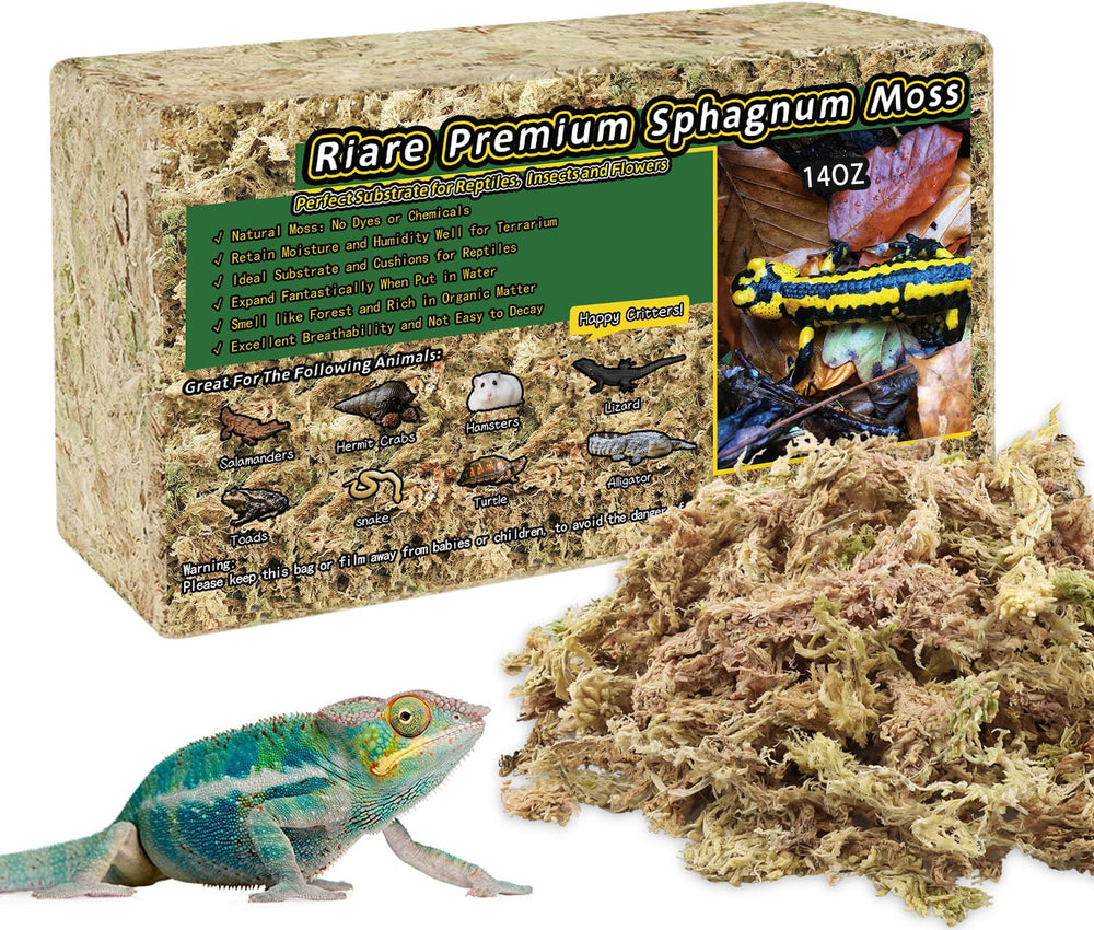 Riare mousse sphagnum premium pour reptiles, substrat absorbant et durable.
