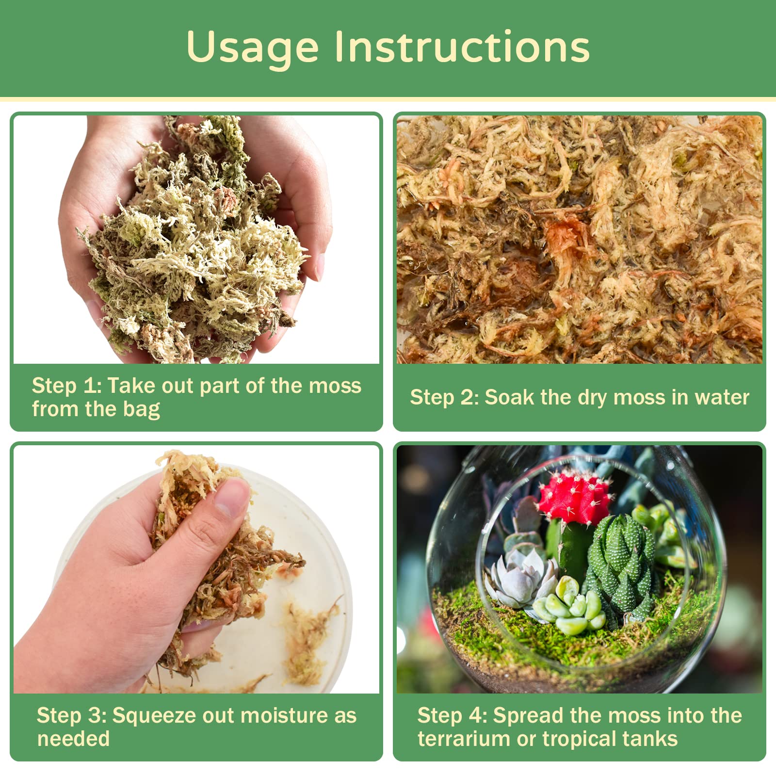 Riare Mousse Sphaigne Premium substrat terrarium humide et durable