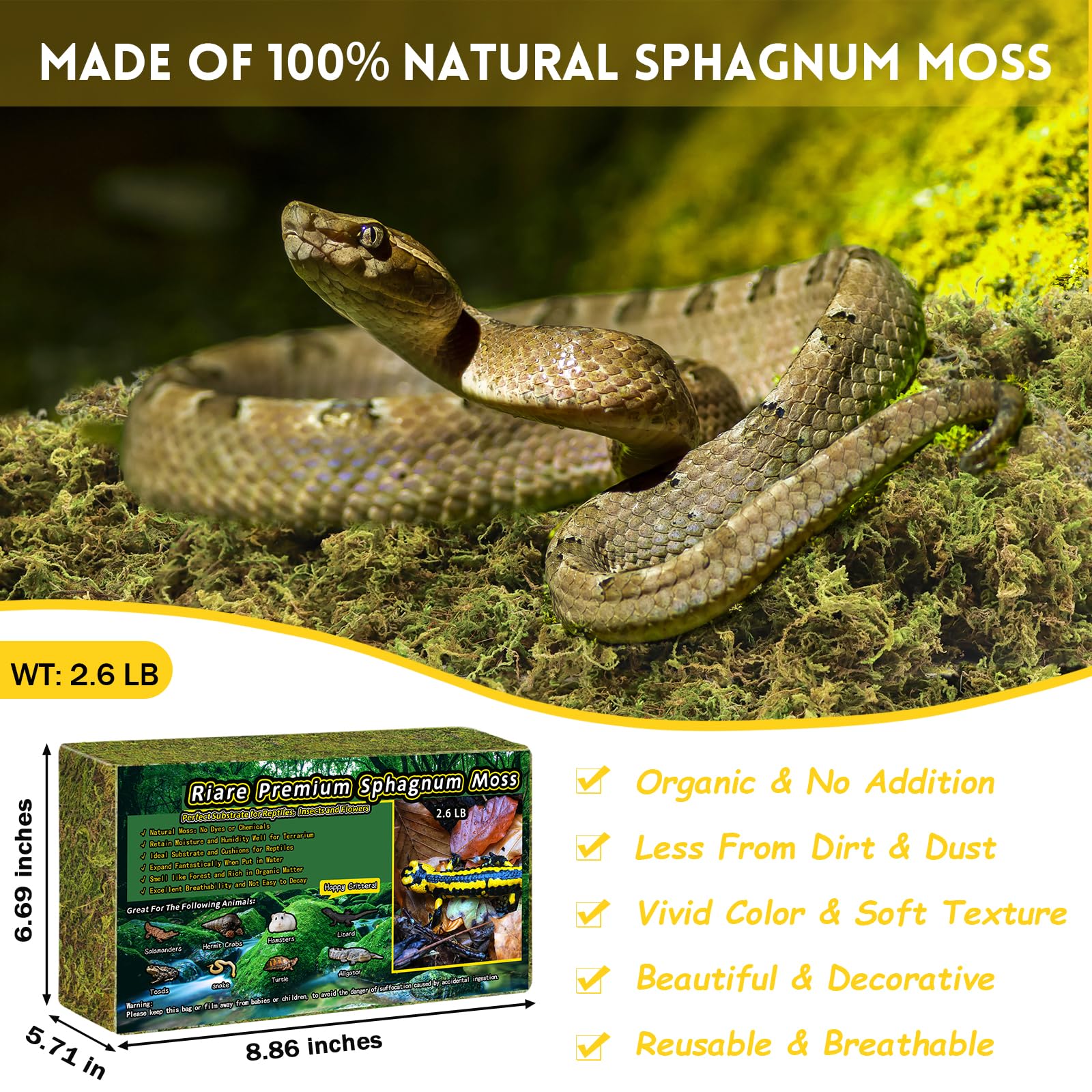 Riare mousse naturelle pour reptiles, absorption élevée et humidité durable.