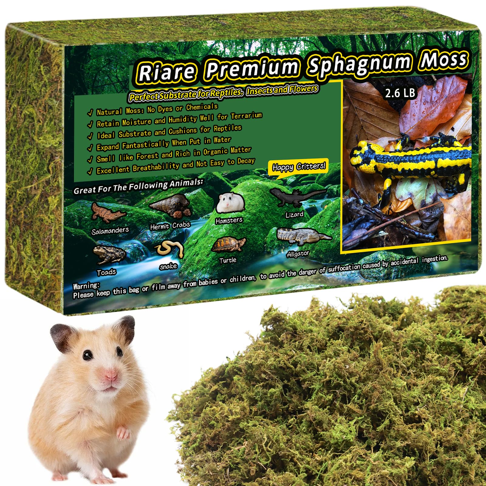 Riare mousse premium pour reptiles dans le terrarium, humidité optimale.