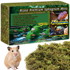 Riare mousse premium pour reptiles dans le terrarium, humidité optimale.