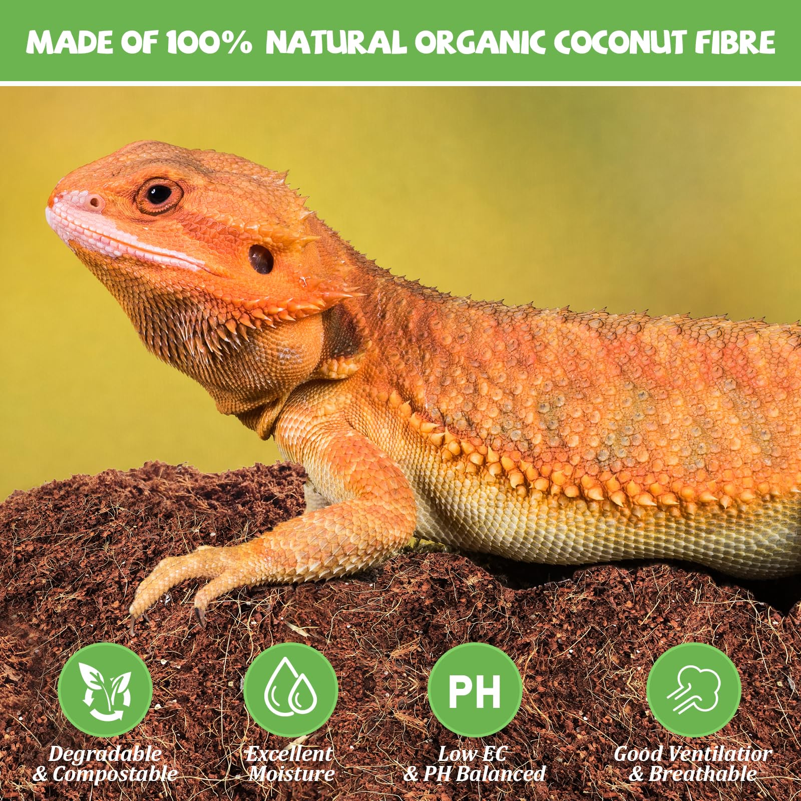 Riare substrat coco : absorption des odeurs et liquides pour un habitat frais.