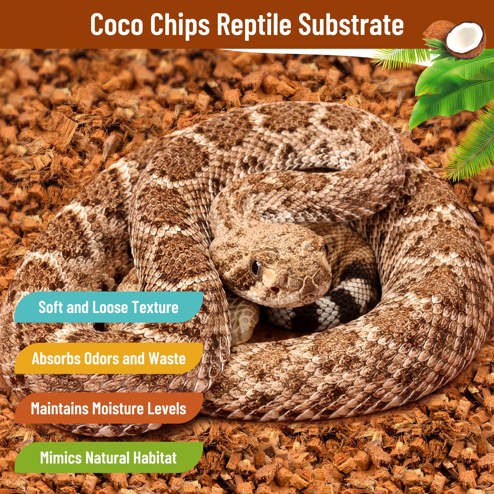 Riare substrat coco-chip terrarium serpents – crée un sol naturel et tunnelable.
