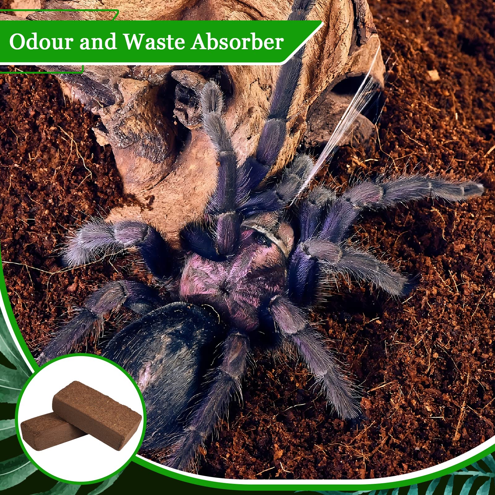 Riare substrat coco confort pour animaux creuseurs et tortues.