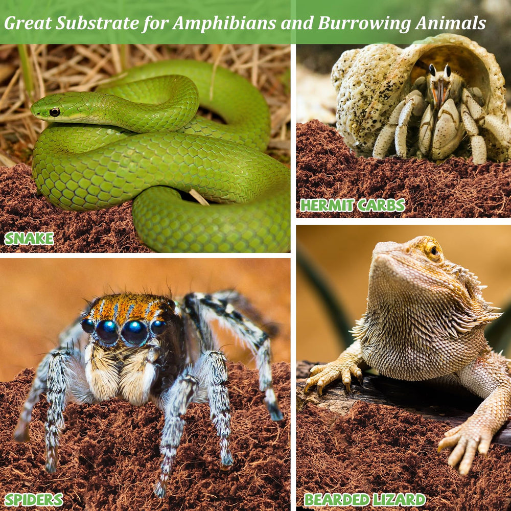Riare substrat coco : utilisation facile, prêt à employer après immersion.