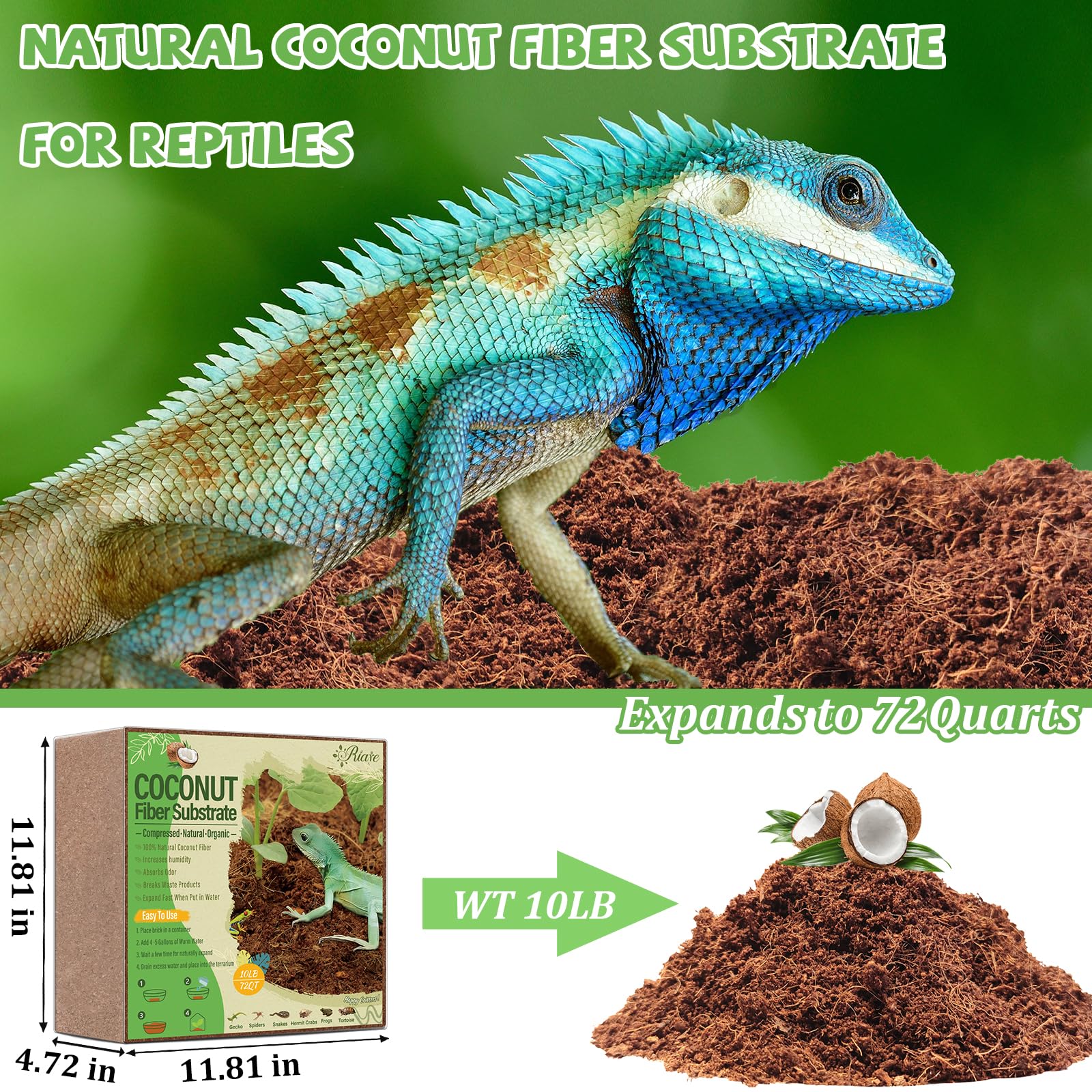 Riare brique coco : expansion rapide après immersion pour terrarium sain.