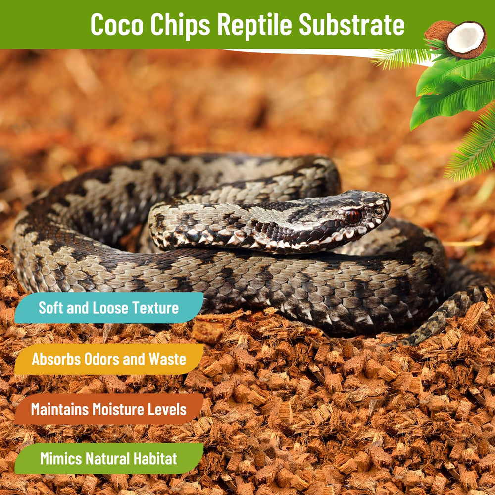 Riare substrat coco reptile sans poussiere: sûr pour animaux sensibles.