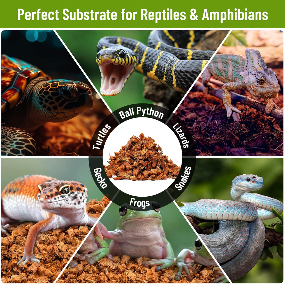 Riare substrat coco reptile terrarium amenagement: cree un milieu naturel et securisant.