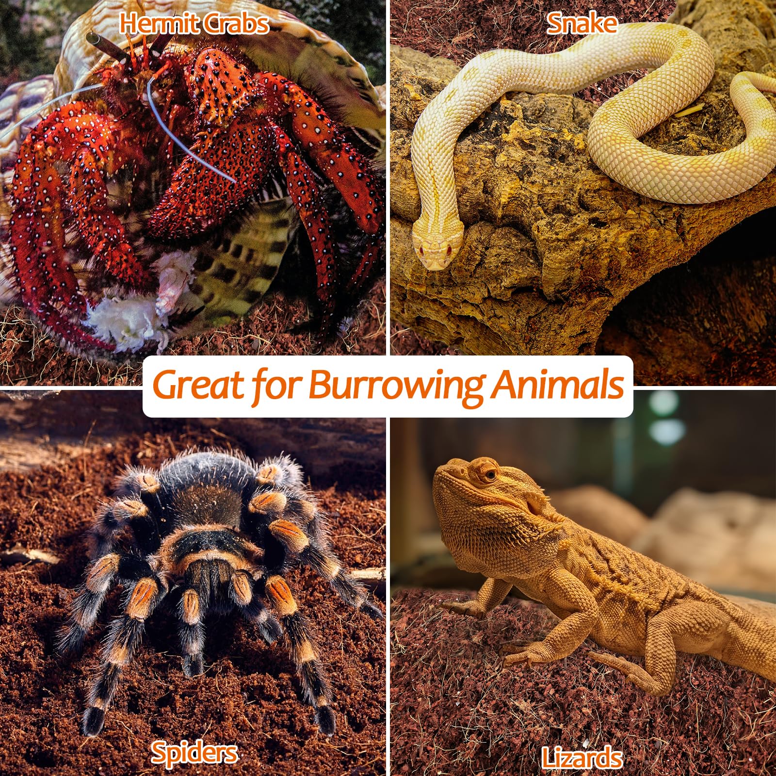 Substrat coco Riare universel, adapté à reptiles et amphibiens.