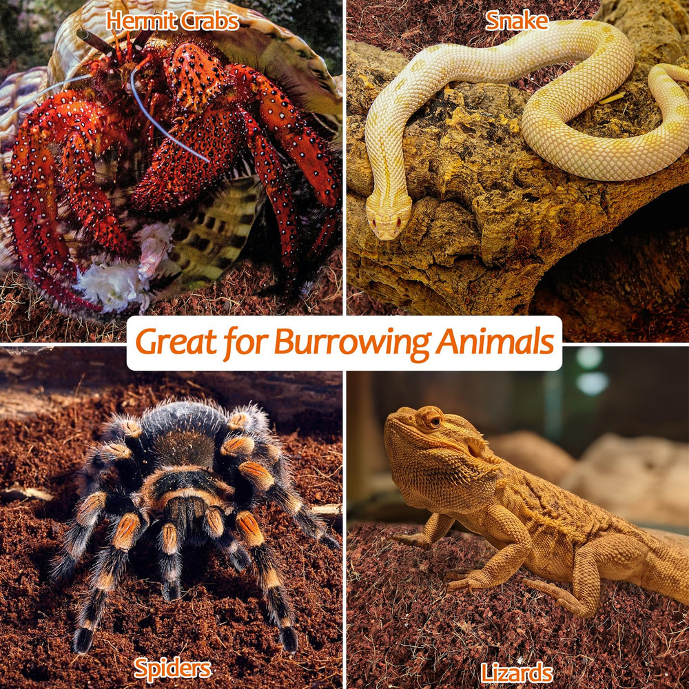 Substrat coco Riare universel, adapté à reptiles et amphibiens.