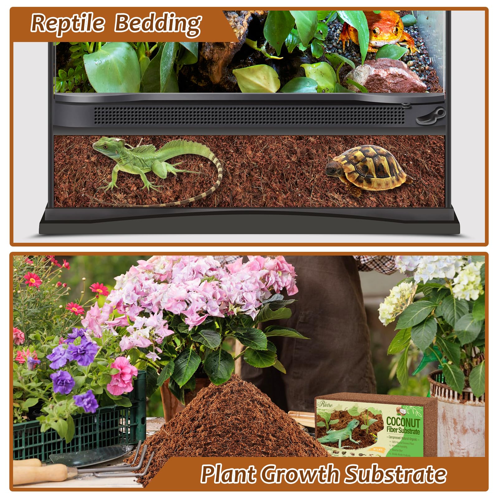 Riare substrat polyvalent terrarium: adapté à divers reptiles et amphibiens.