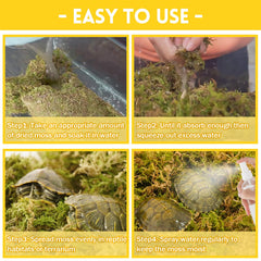 Riare substrat favorise le creusement naturel et le confort du terrarium.