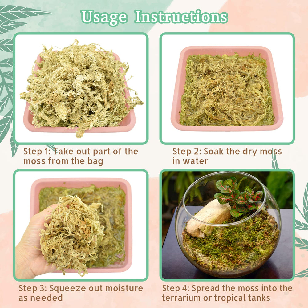 Riare substrat terrarium humidité stable idéal pour reptiles et orchidées.