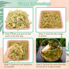 Riare substrat terrarium humidité stable idéal pour reptiles et orchidées.