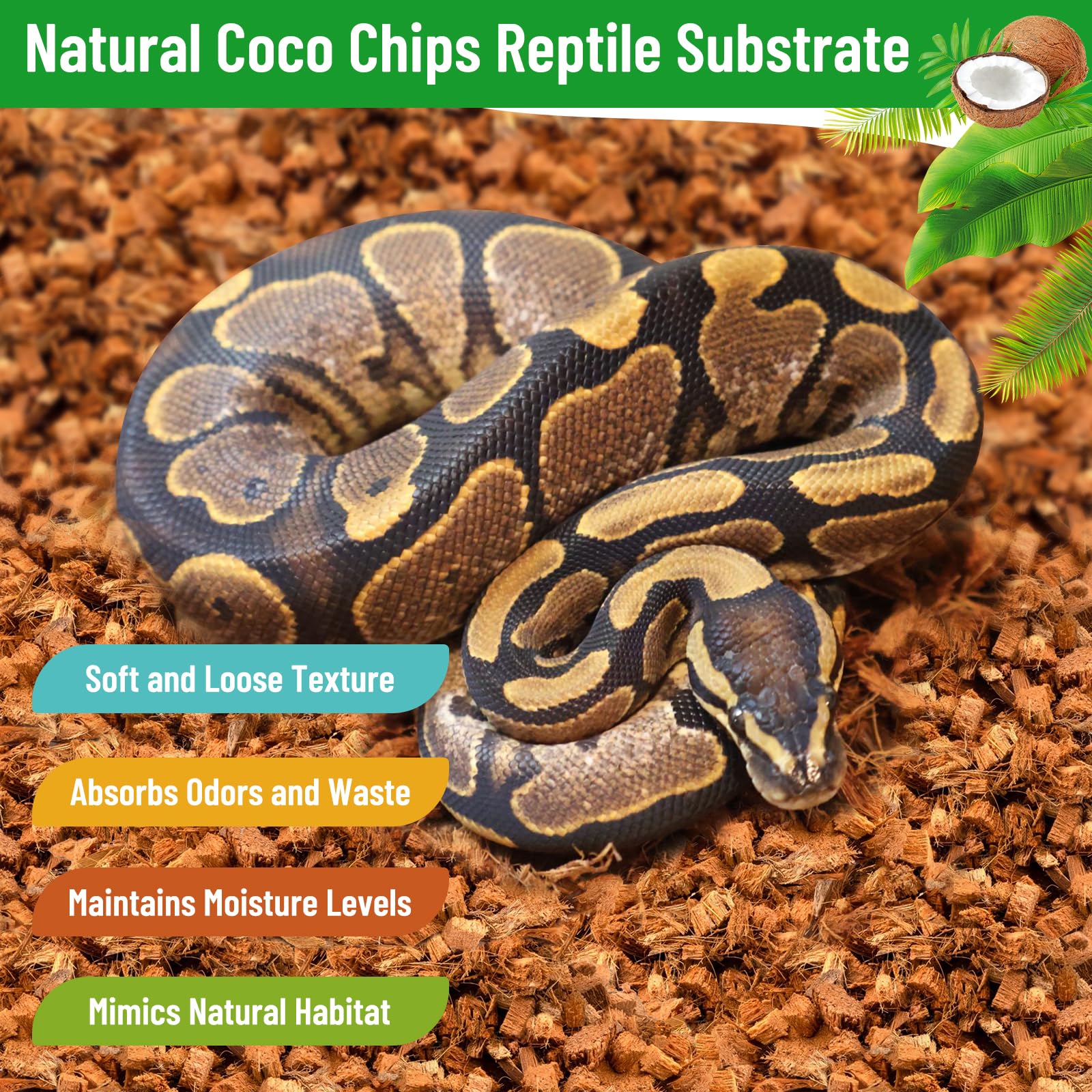 Riare substrat terrarium imitant sol naturel pour exploration.