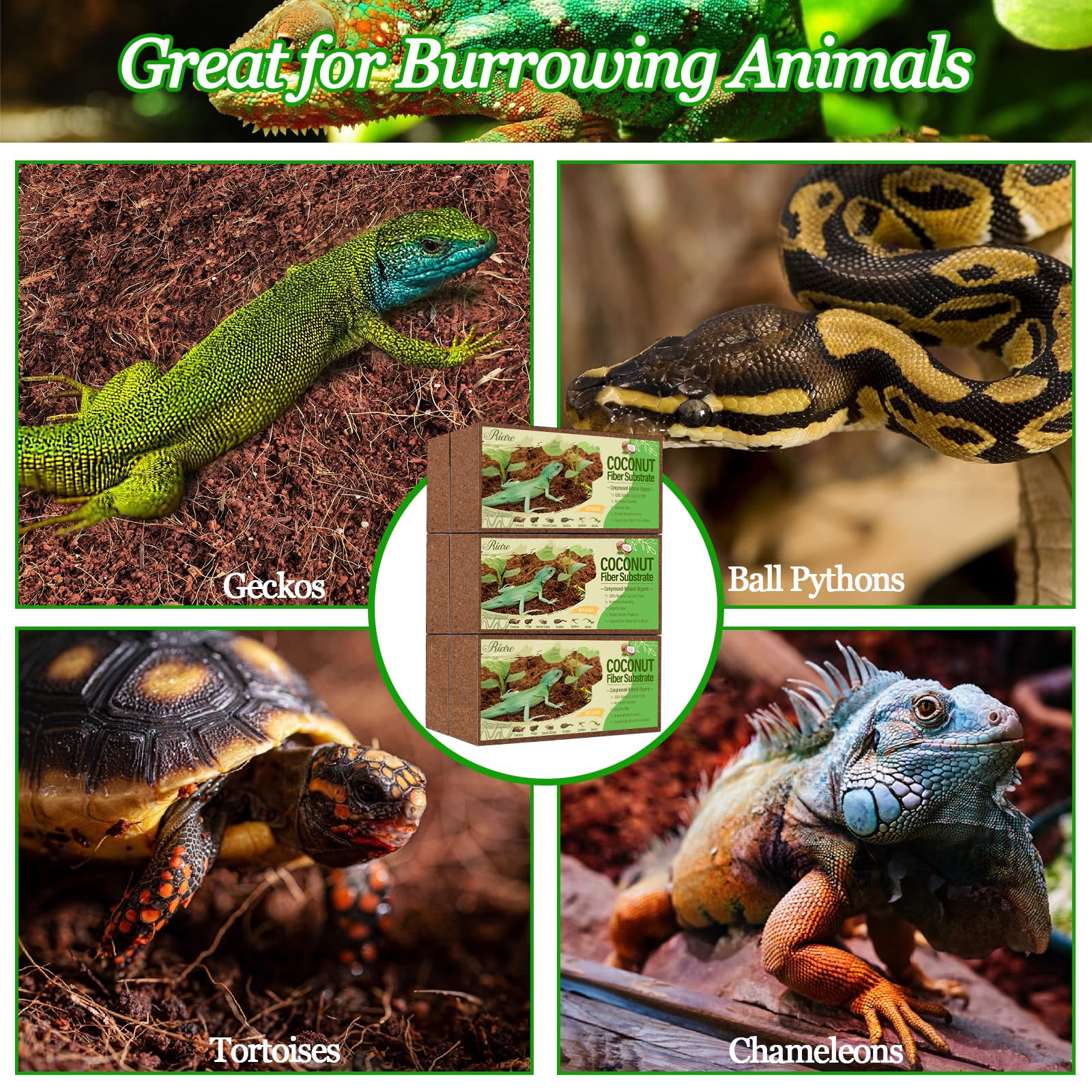 Riare substrat terrarium universel coco, adapté pour reptiles et amphibiens.