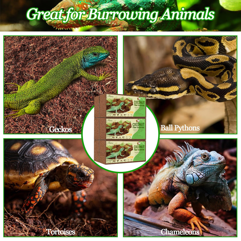 Riare substrat terrarium universel coco, adapté pour reptiles et amphibiens.