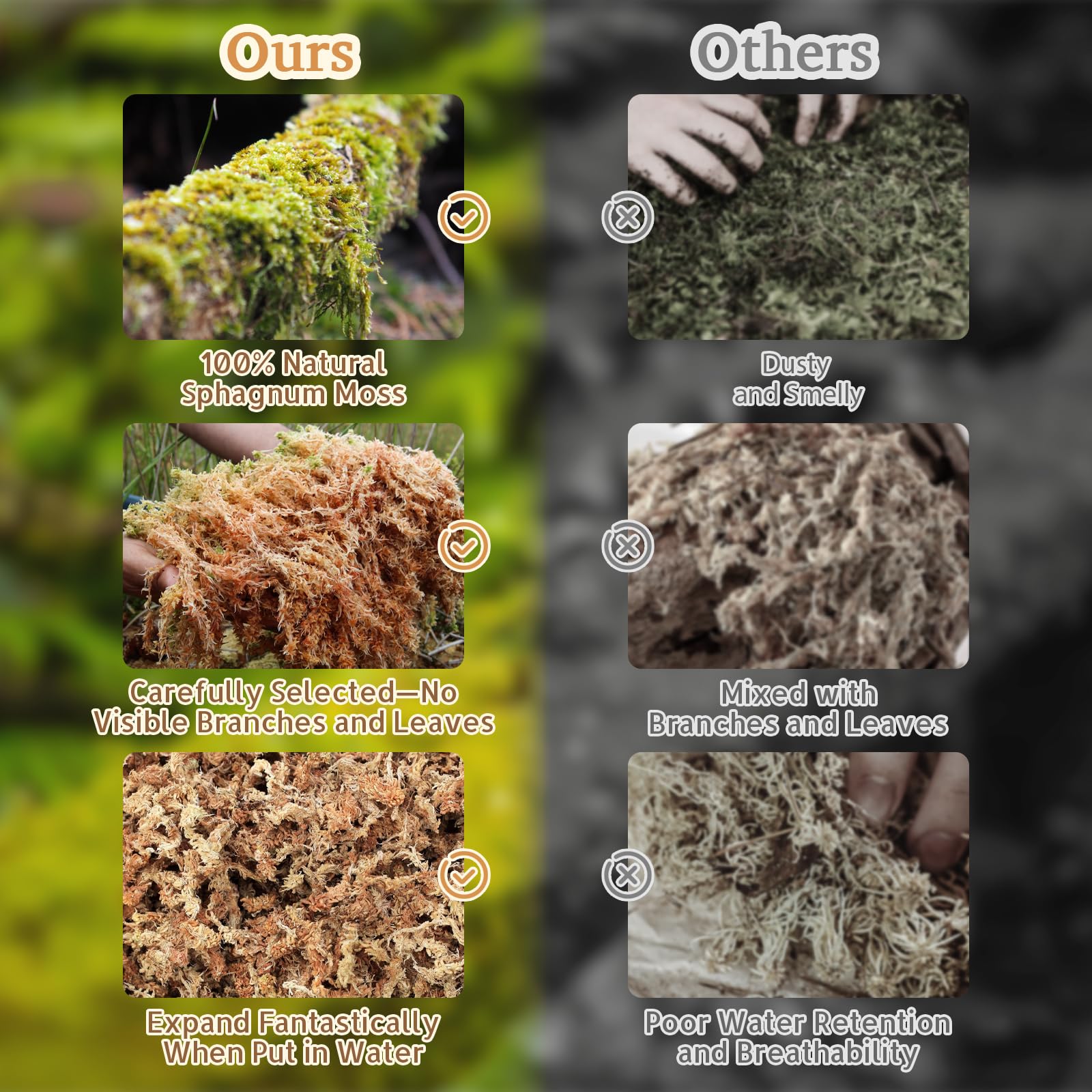 Riare tapis habitat naturel favorisant repos et comportements exploratoires.