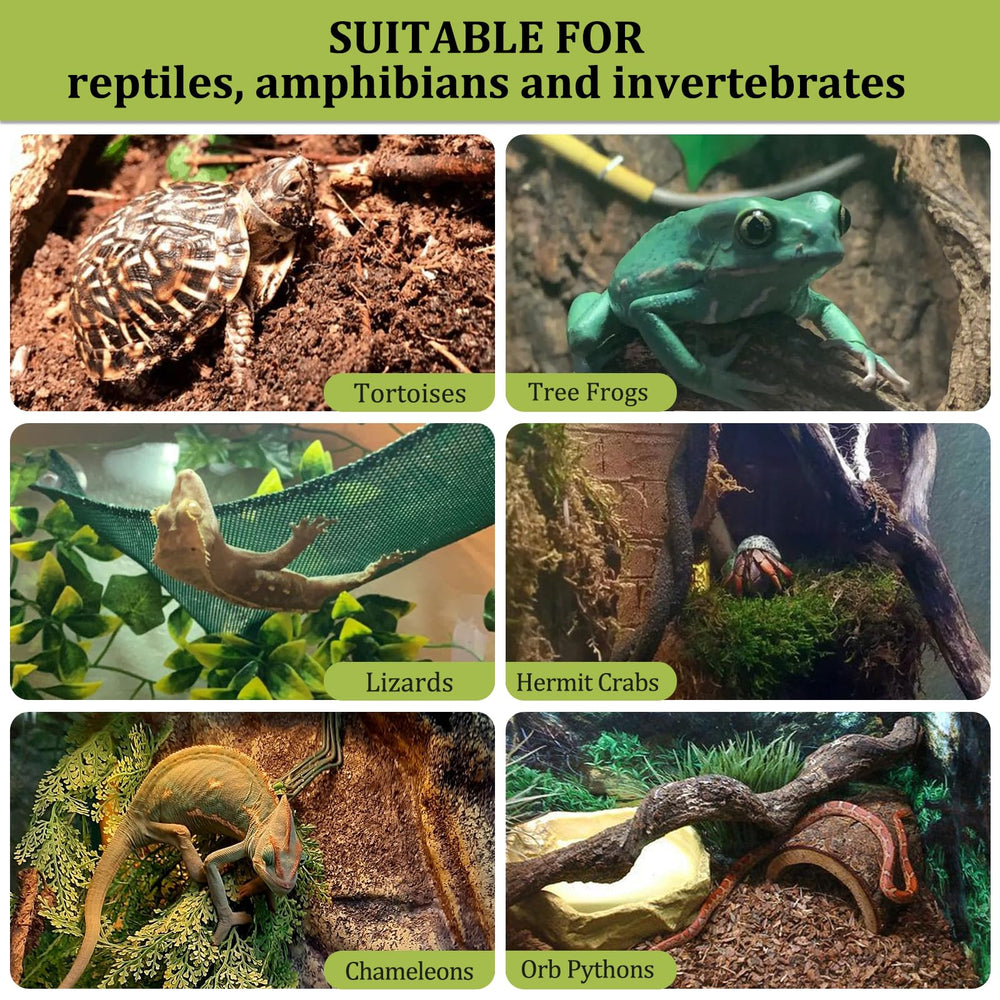 Utilisation polyvalente dans jardin ou terrarium avec billes d’argile.