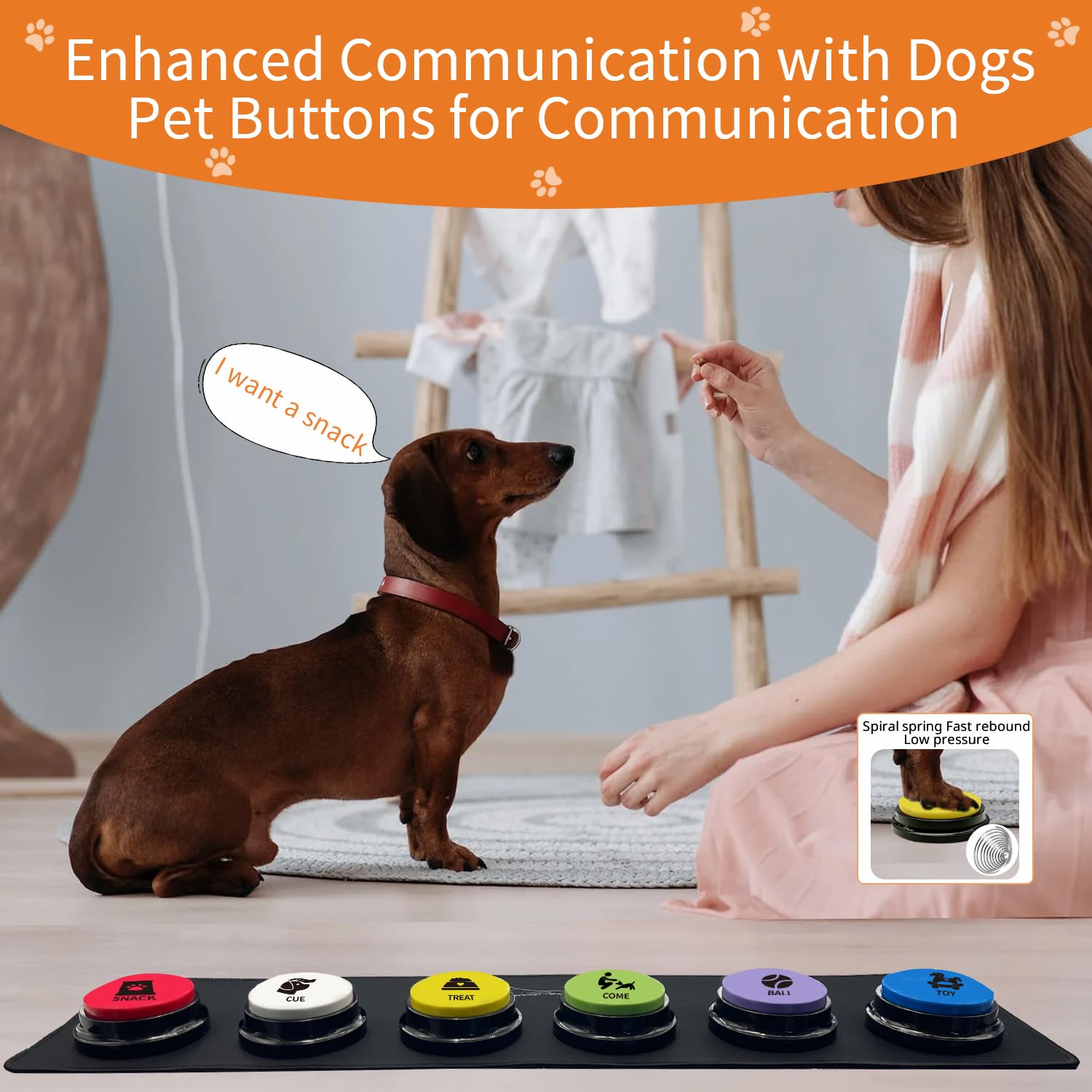 Coffret RIBOSY prêt à l’emploi pour la communication avec votre animal.