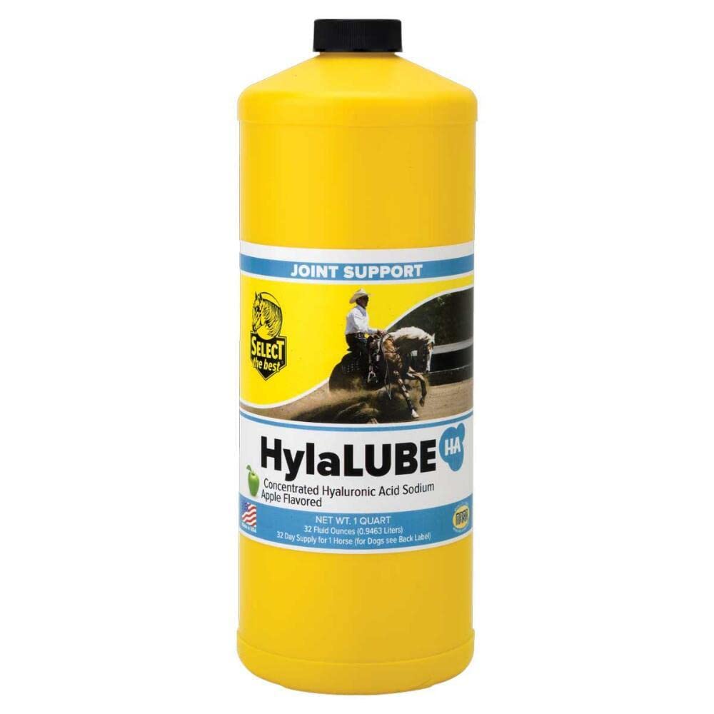 Richdel HylaLube flacon-pomme, soutien articulations et mobilité pour chiens et chevaux