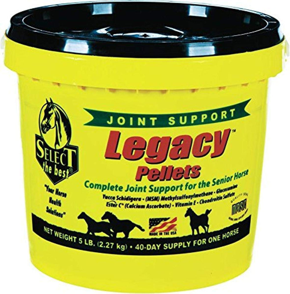 RICHDEL Legacy Pellets soutiennent les articulations des chevaux seniors, mobilité potentielle.