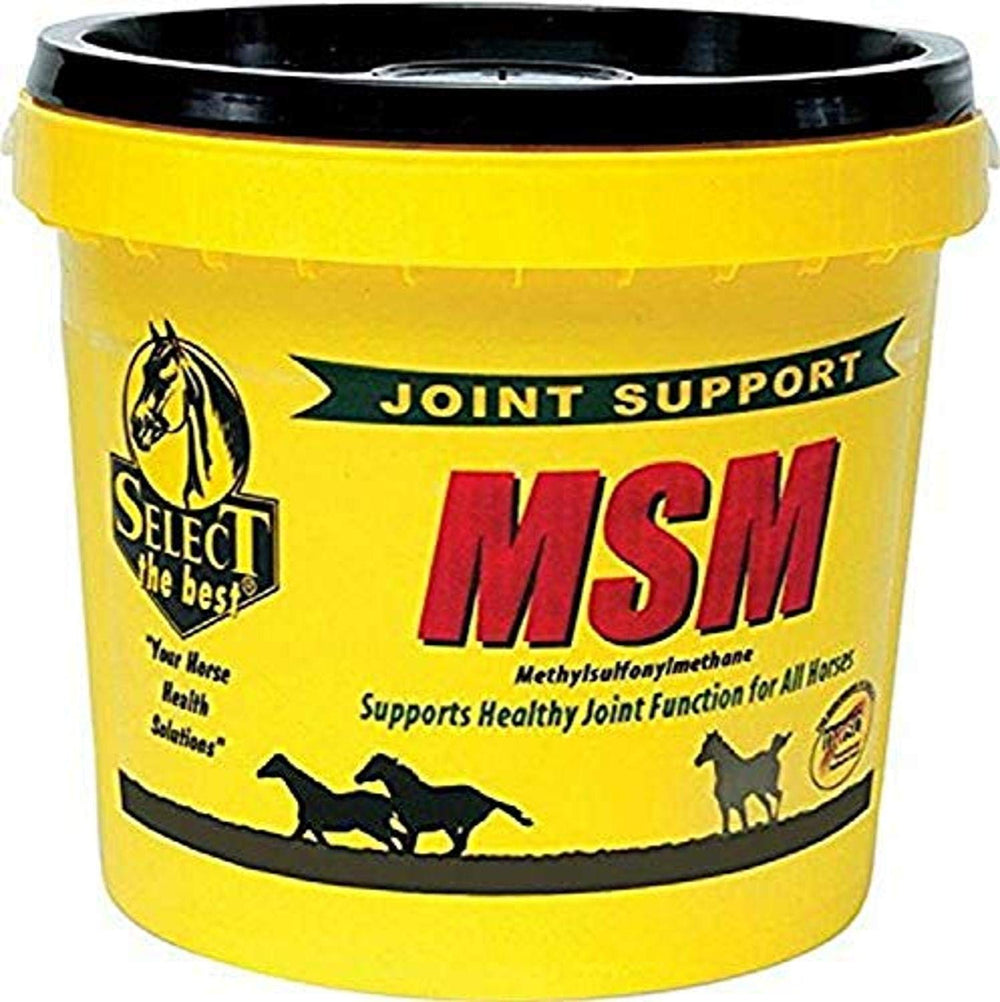 Richdel MSM Poudre pour articulations des chevaux, soutien potentiel à la mobilité.