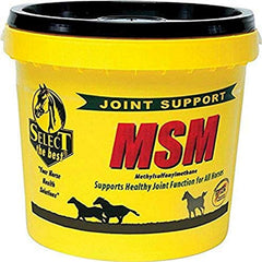 Richdel MSM Poudre pour articulations des chevaux, soutien potentiel à la mobilité.