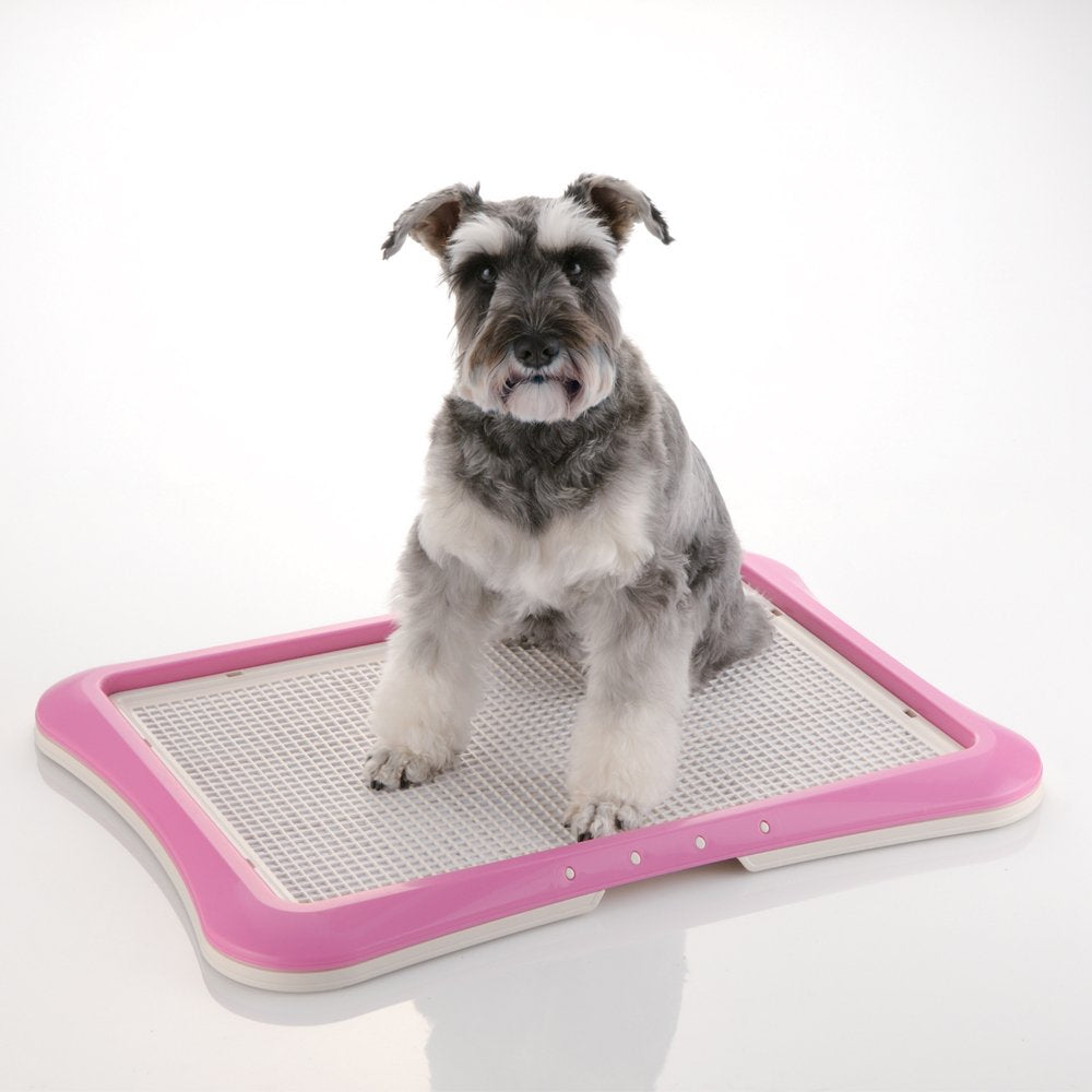 Richell Paw Trax remplacement facile des pads rose