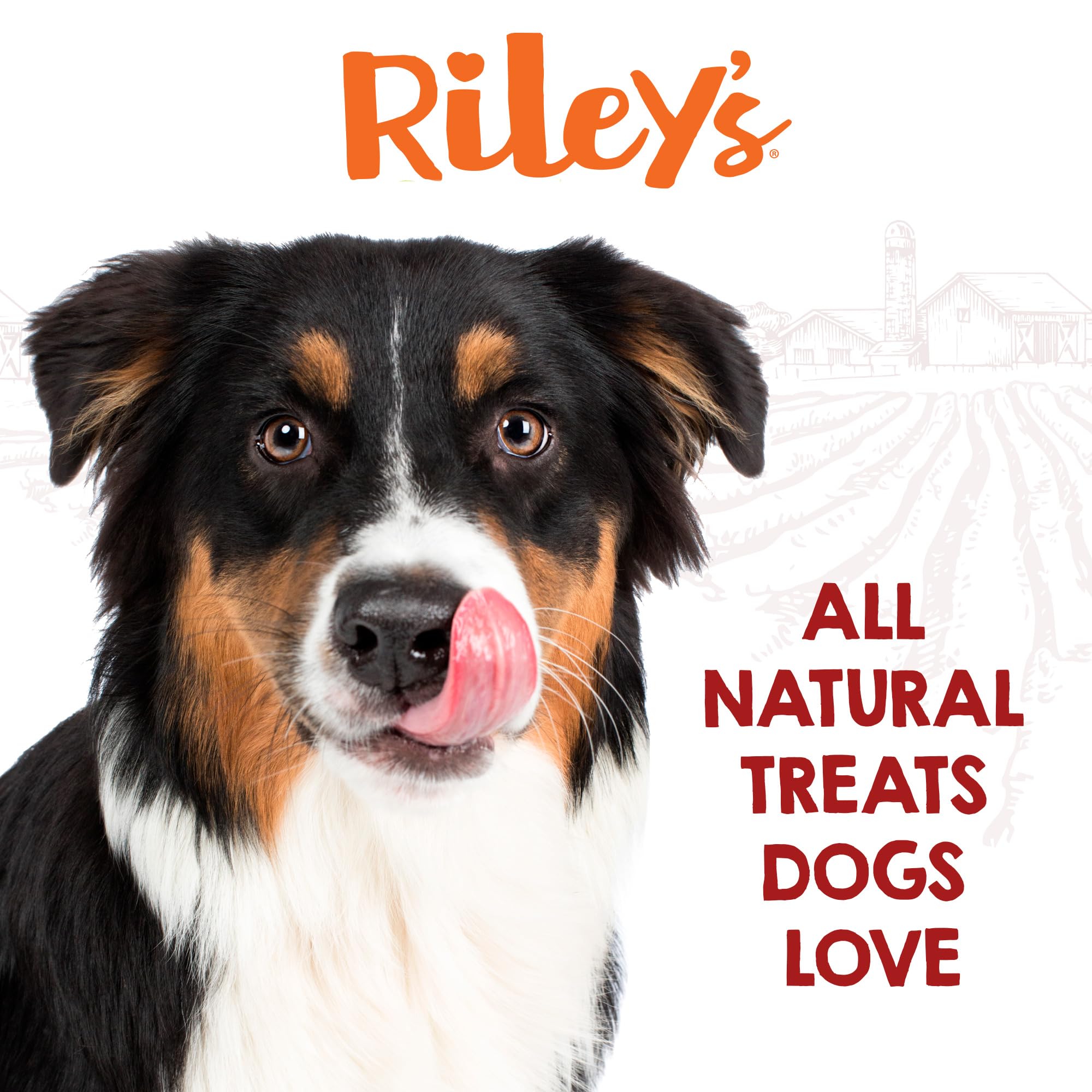 Riley's paquet 5 pièces, format pratique pour séances régulières.