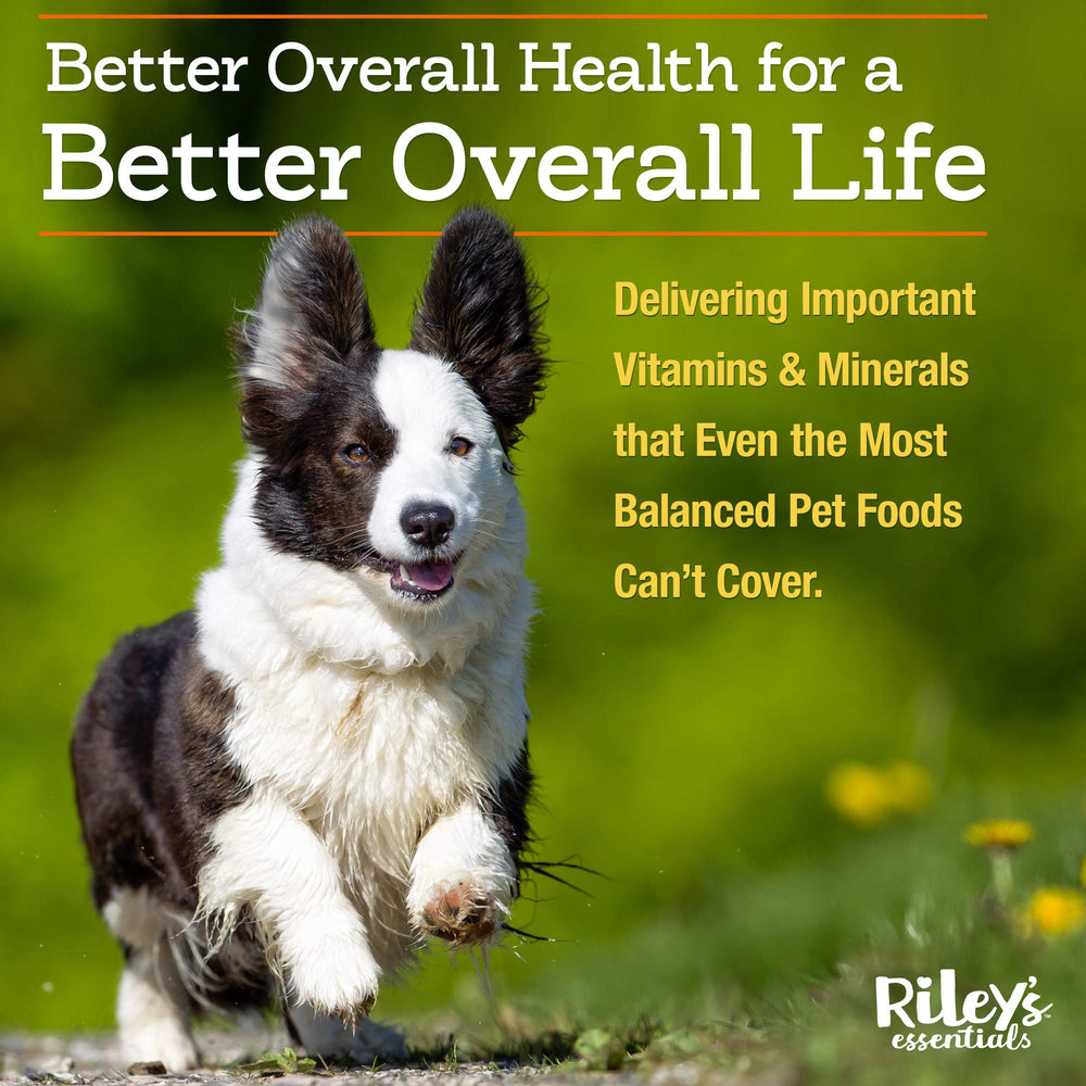 Doseur inclus pour Riley's, dosage précis dans chaque repas.