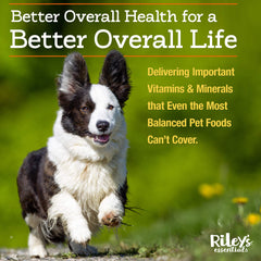 Doseur inclus pour Riley's, dosage précis dans chaque repas.
