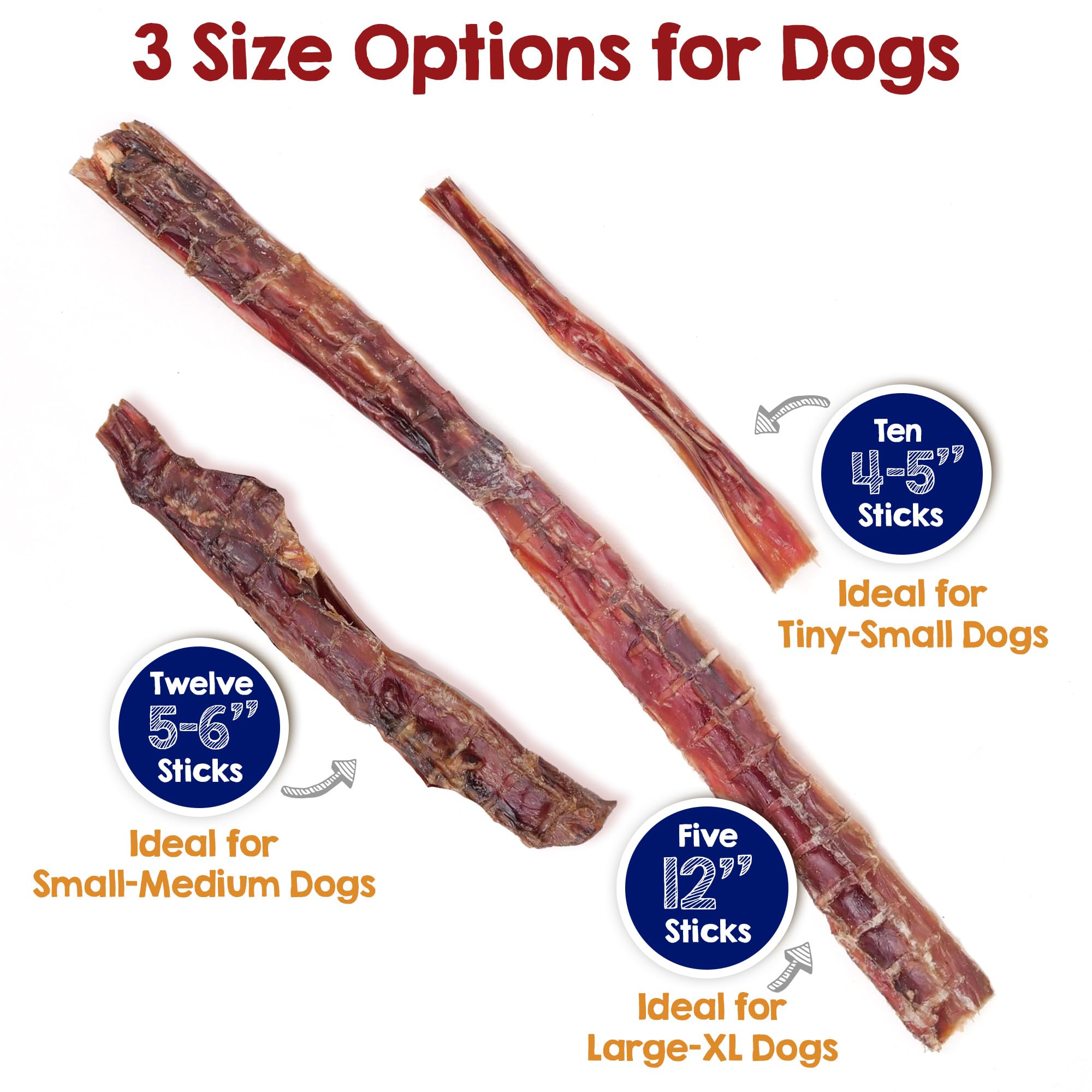 Riley's Steer Sticks sans cuir brut, alternative sûre pour chiens.