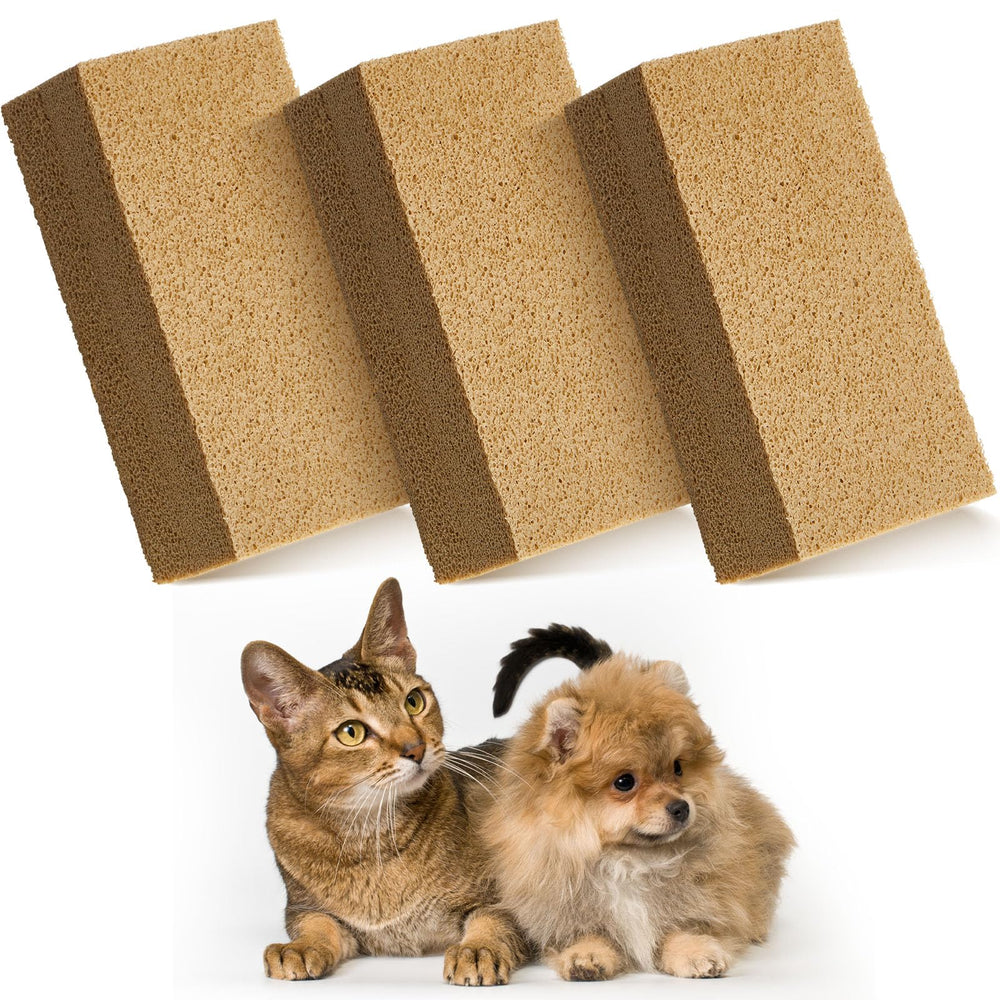 RimCereal éponge ramasse-poils pour chat et chien sur canapé.