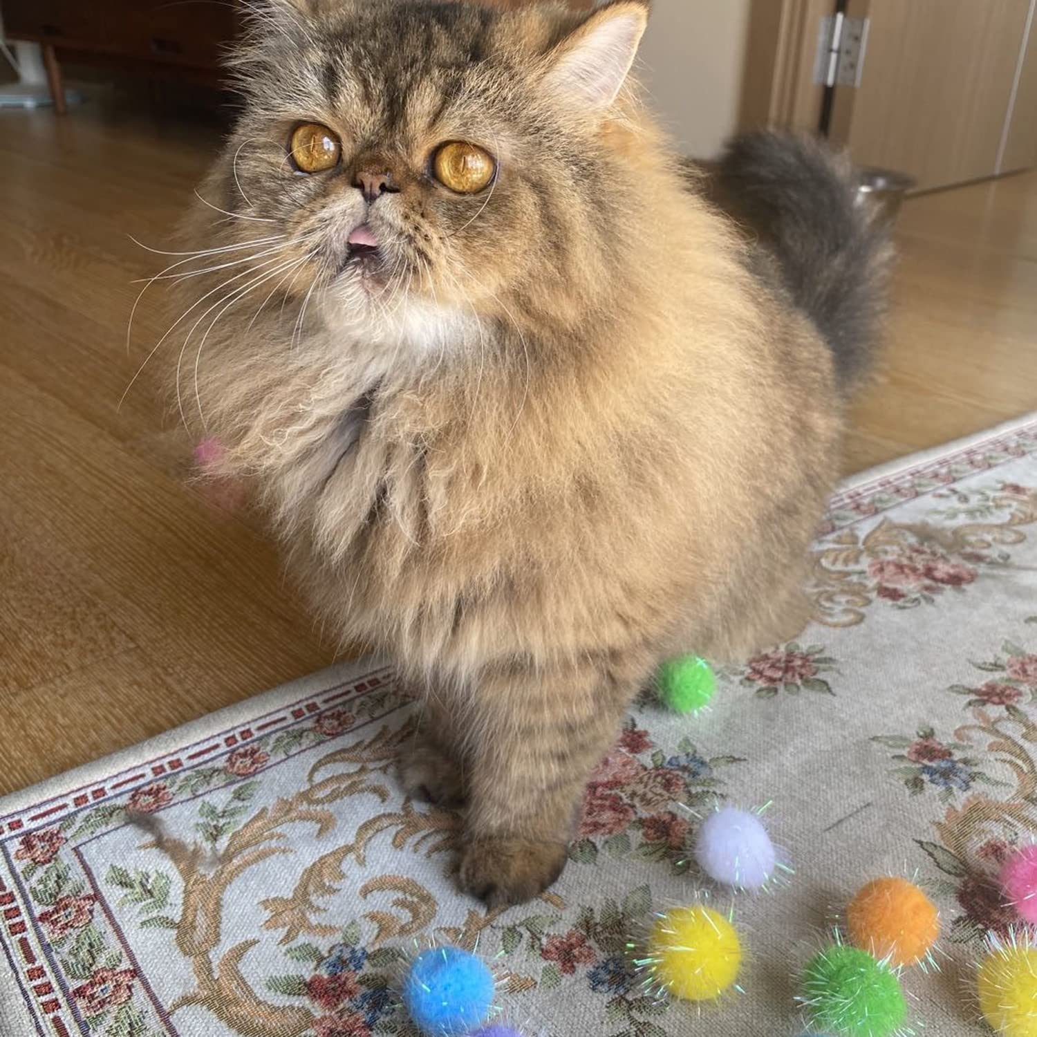 RIMOBUL boule stimule exercice et agilité chez le chat