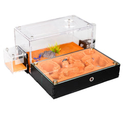 Nid Formicarium Rimsunta Extra-Large, vue intérieure claire pour observer la colonie