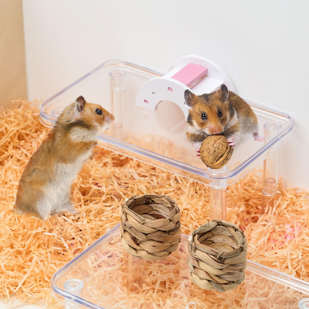 Ripeng plateforme hamster ideale pour nourriture et eau