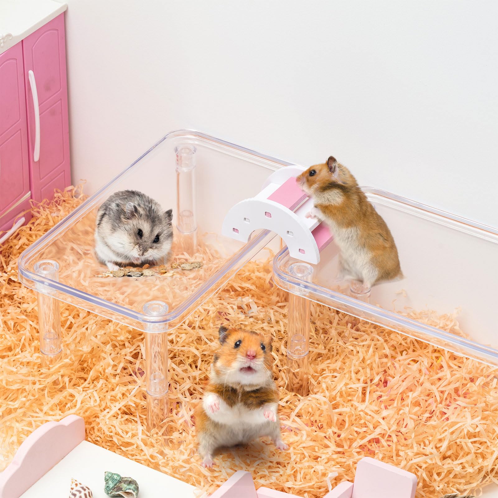 Ripeng plateforme hamster usage quotidien pour activites quotidiennes
