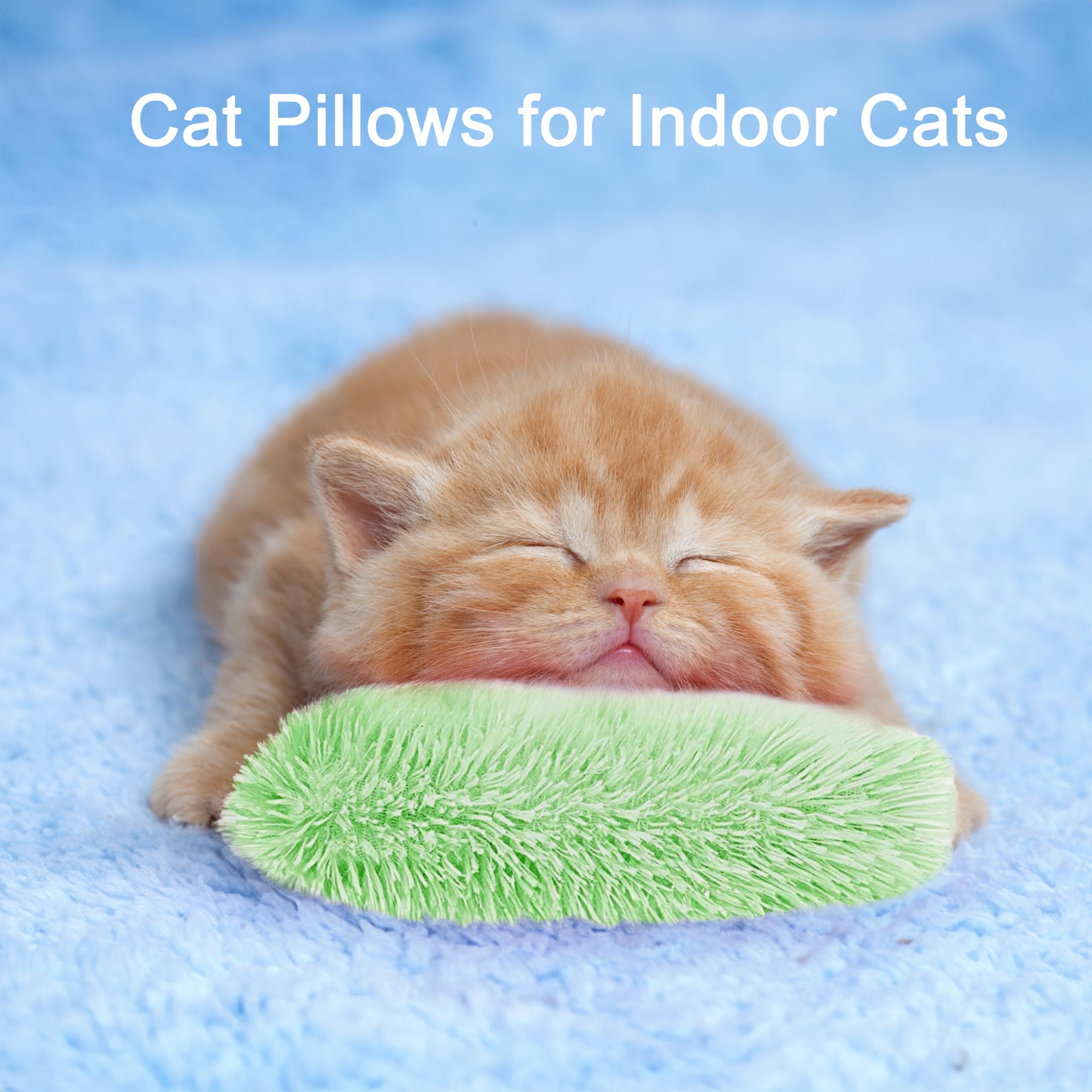 Rishoesu: coussin chat interactif idéal pour jouer en intérieur et dépenser son énergie.