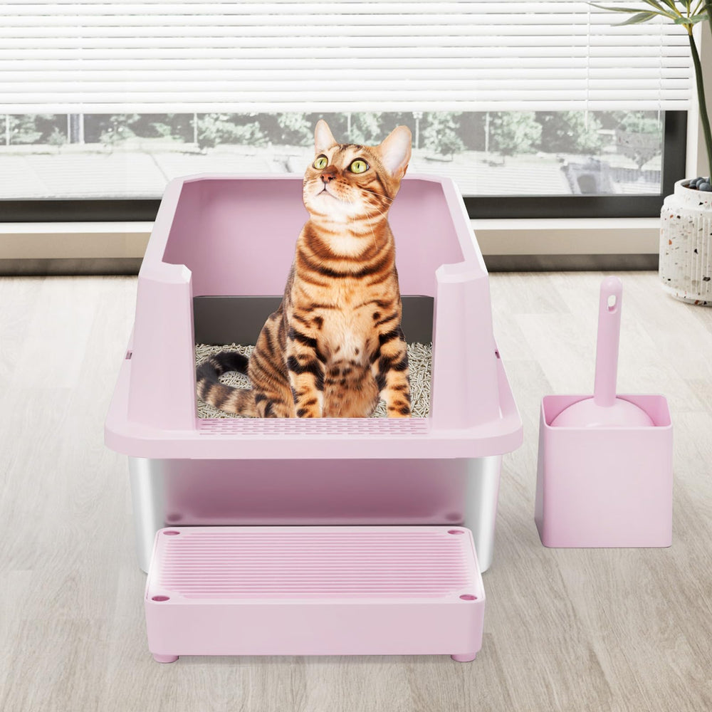 RIZZARI litière chat montage simple rose – configuration rapide en 30 secondes