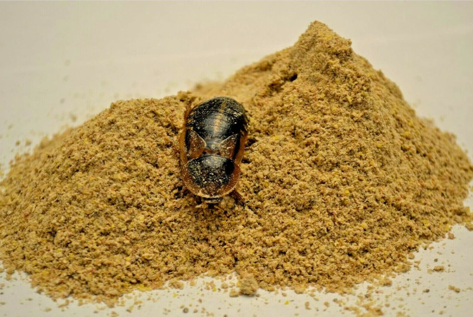 emballage-argente-qui-retient-larome-du-roach-chow