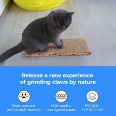 Roadtofree planche griffage chat eco-responsable, carton recyclable et sûr.